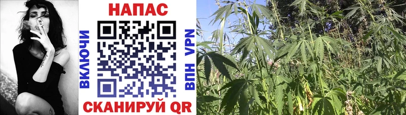 Бошки Шишки план  наркотики  Чулым 
